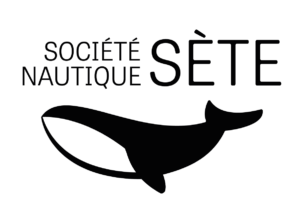 logo noir