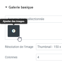 etape-4 Etape 4 : Ajouter une galerie
